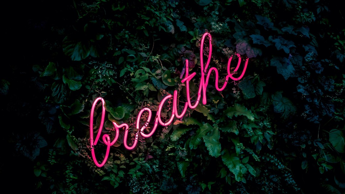 Fabian Moller Gi7zgb80qwy Unsplash