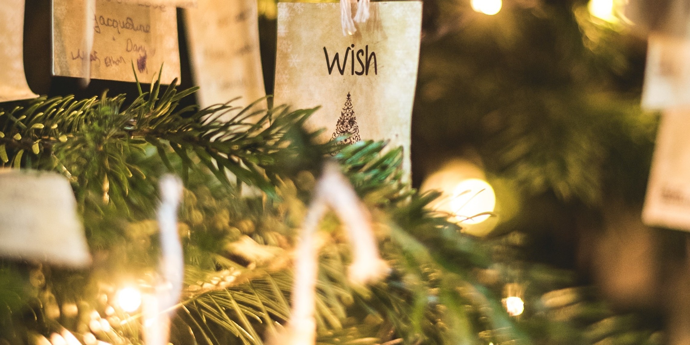 Valentin Petkov Sj9lxhonnv4 Unsplash